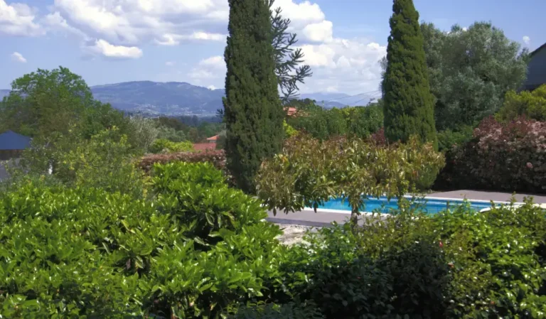 Solar_10_edited_edited_edited (1)